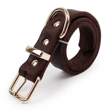 Classic Brown Leather Dog Collar