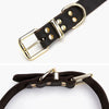 Classic Brown Leather Dog Collar