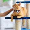 Silicone Anti-Lost Cat Collar