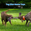 2-Pack Heavy-Duty Rope Dog Toys for Large Breeds