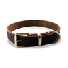 Classic Brown Leather Dog Collar